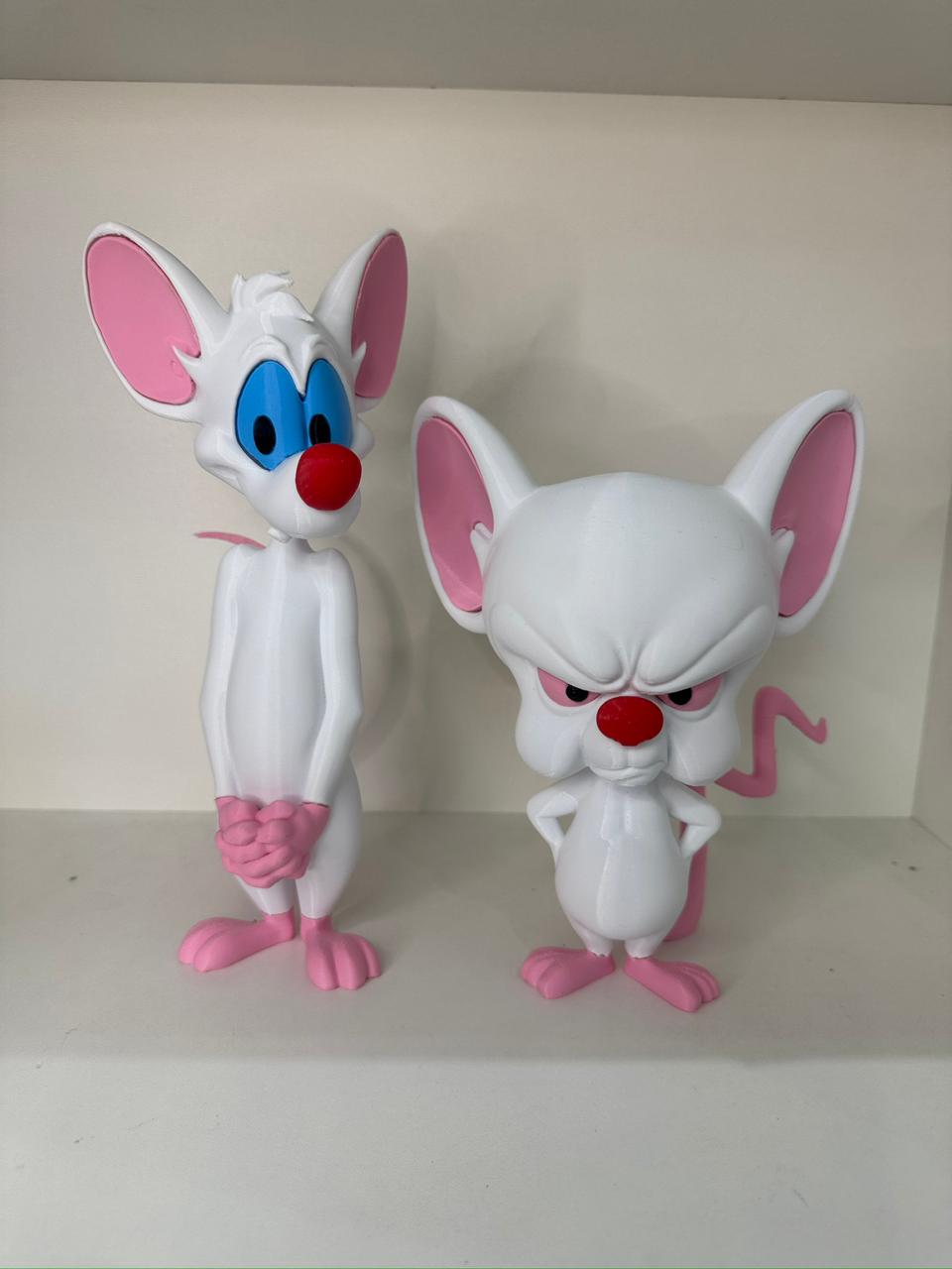 Pink e Cérebro – Dupla Colecionável Decorativa